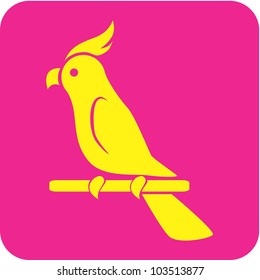 Creative Cockatoo Parrot Icon