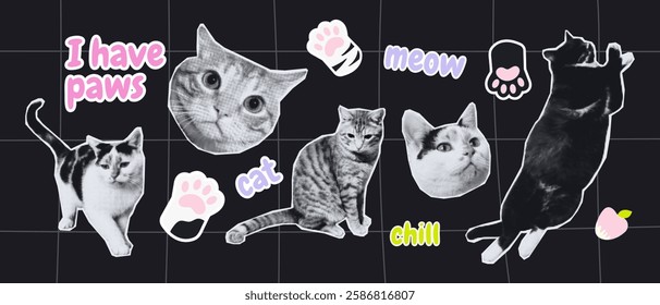 A creative collage featuring black-and-white cat cutouts, paw prints, and playful text on a dark background, adding a fun and quirky aesthetic