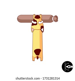 Creative colored cartoon dog and sausage vector alphabet.