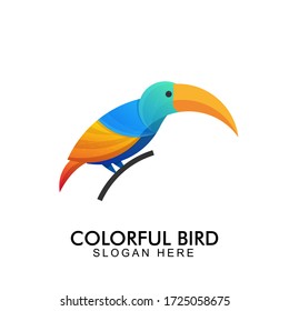 creative colorful bird logo design