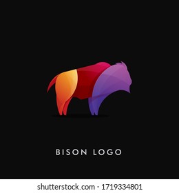  creative colorful bison logo. suitable for medai companies, animal parks, or business companies.
