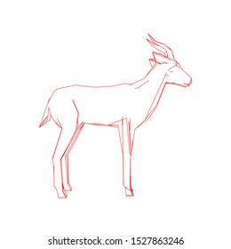 Creative Colorful Gazelle Logo Design Vector Symbol Illustration