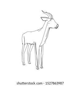 Creative Colorful Gazelle Logo Design Vector Symbol Illustration