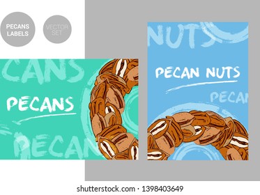 Creative colorful pecan nuts labels with hand drawn typography and brush stroke elements. Semicircle of pecans on colorful background. Nut Badges ready for web and print.