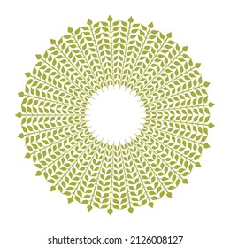 Creative colourful mendela vector designe