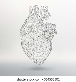 Creative Concept Background Of The Human Heart. Vector Illustration Eps 10 For Your Design.