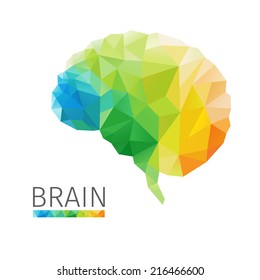 Creative concept of the human brain consists of colorful polygons, vector