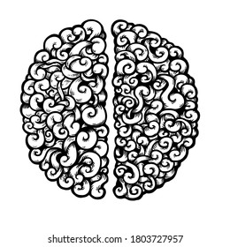 Concepto creativo de hemisferios cerebrales humanos, ilustración vectorial