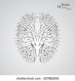 Creative concept of the human brain,  vector elegant illustration