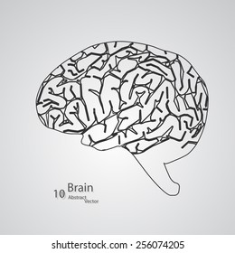 Creative concept of the human brain,  vector elegant illustration