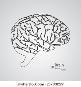Creative concept of the human brain,  vector elegant illustration