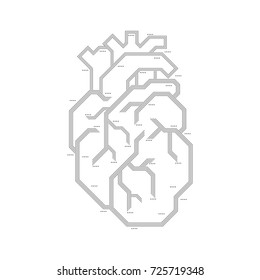 Creative concept of the human Heart, eps10