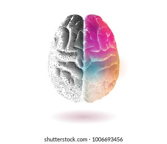 Creative concept of Left and right brain illustration with colorful on right side isolated on white background