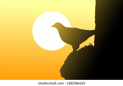 Creative design of bird and sunset sky