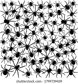 Creative design with black spiders on a white background. Vector illustration. Insect in black and white concept. Black Square pattern. Follow other spiders patterns in my collection.