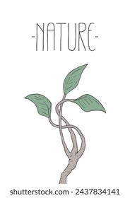 Diseño creativo de ilustración de rama