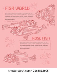 Creative design concept with the illustration of ocean perch in variations,
