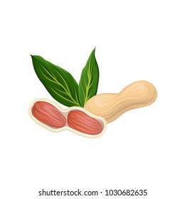 Creative design concept for organic product cover with raw peanuts and green leaves. Vegetarian snack. Healthy food. Detailed cartoon style vector icon