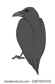 Creative design of crow illustration