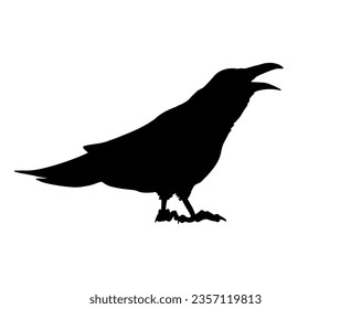 Creative design of crow illustration