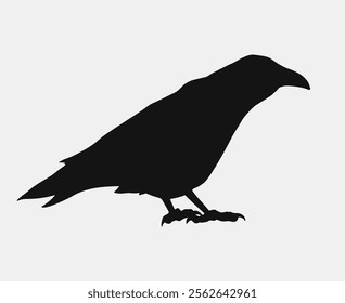 Creative design of crow illustration