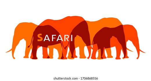 Creative design of elephants hers illustration