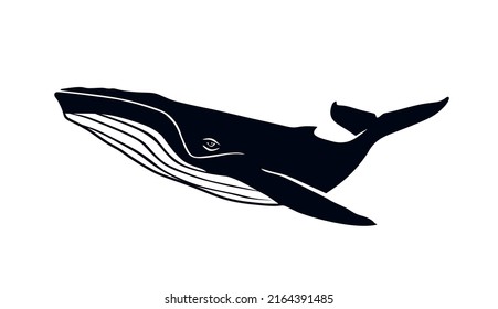 creative design of hampback whale