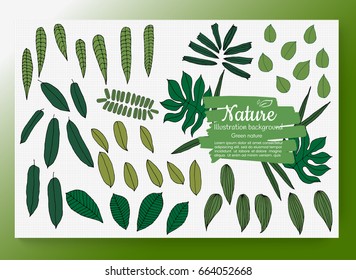 Creative design : Hand drawn set of tropical leaves. jungle leaves, split leaf, set isolated on white background. Vector illustration eps 10