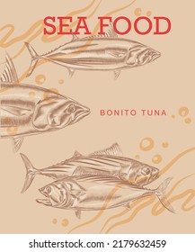 Creative design template with the illustration of Atlantic bonito tuna in variations.