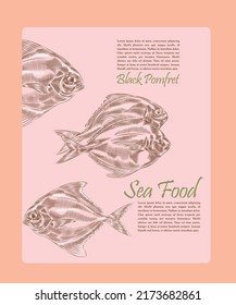 Creative design template with the illustration of Black pomfret in variations.