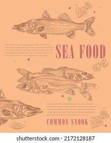Creative design template with illustration of common snook in variations.
