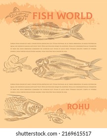 Creative design template with illustration of Rohu in variations.