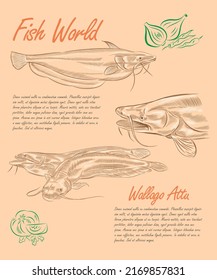 Plantilla de diseño creativo con la ilustración de Wallago Attu en variaciones junto con algunas verduras y especias. 