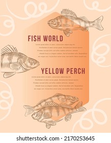 Creative design template with the illustration of yellow perch in variations.
