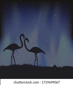 Creative design of two flamingos in the night