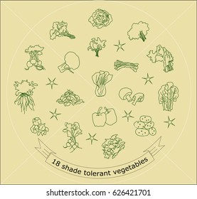 Creative design : Vegetables line icons with outline style vector design elements	on yellow background