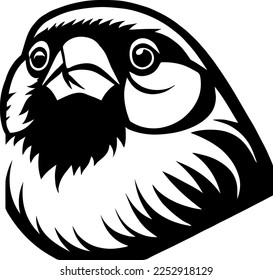 Creative design work for House Finch