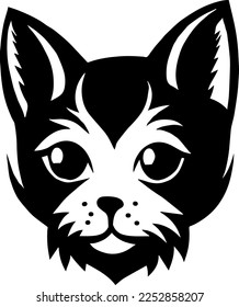 Creative design work for Kitten 