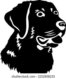 Creative design work for Labrador Puppy 