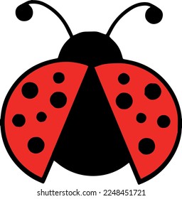 Creative design work for Ladybug