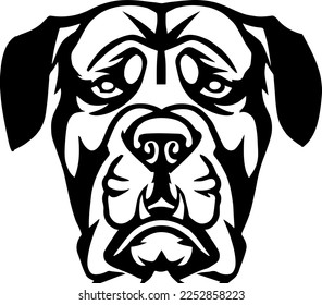 Creative design work for Mastiff 