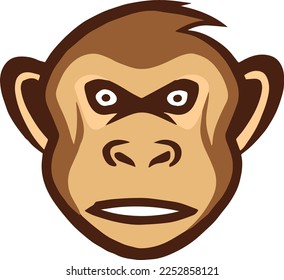 Creative design work for Monkey