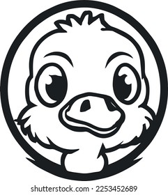 Creative design work for Ostrich 