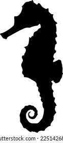 Kreatives Design für Seahorse