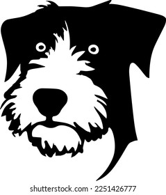 Creative design work for Terrier 