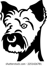 Creative design work for Terrier 