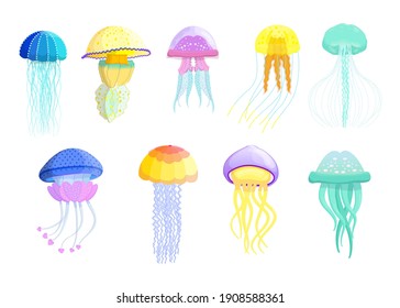 Creative different jellyfishes flat set for web design. Cartoon cute swimming marine creatures isolated vector illustration collection. Wildlife and ocean fauna concept