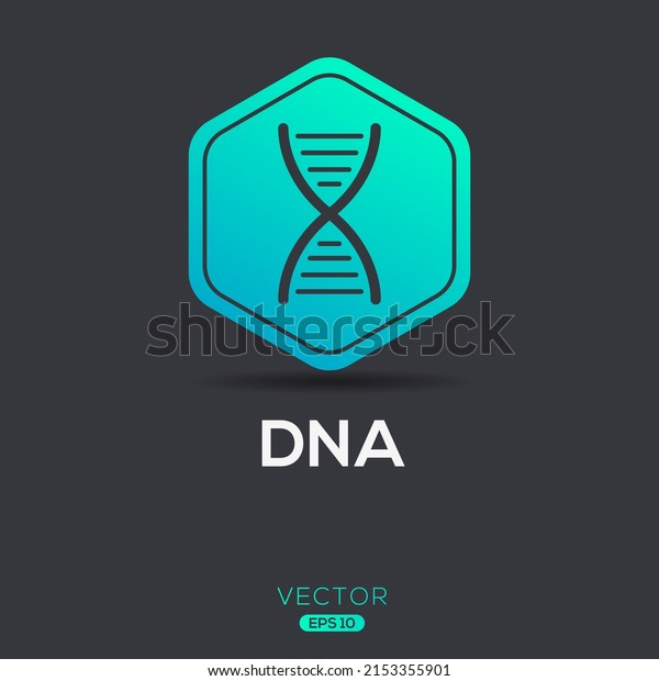 Creative
(DNA) Icon, Deoxyribonucleic acid, Vector
sign.