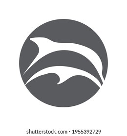 creative Dolphin jumping logo illustration design concept.