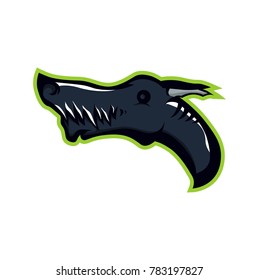 Creative dragon logo template. Sport mascot design. 